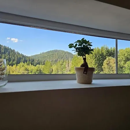 Domaine De Lajus ,gite Meuble 3 Etoiles Nyaraló