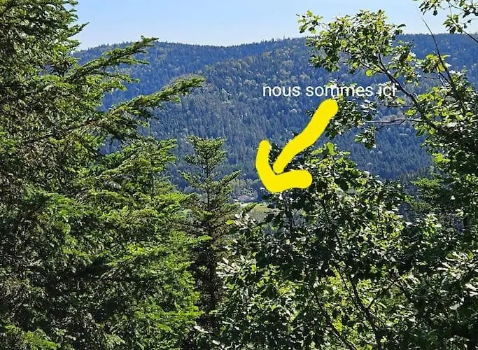 Domaine De Lajus ,gite Meuble 3 Etoiles Semesterbostad *