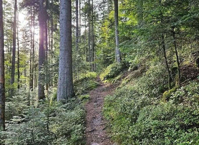 Domaine De Lajus ,gite Meuble 3 Etoiles * Celles-sur-Plaine